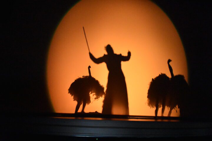 La obra «El Carnaval de los Animales» se presentó en el Teatro Regional Cervantes los pasados 22 y 23 de marzo